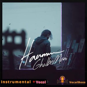 Haamim- Instrumental Ghalbe-Mani-VocalBoxs