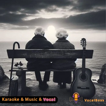 کارائوکه و موزیک بی کلام تا کی از شروین